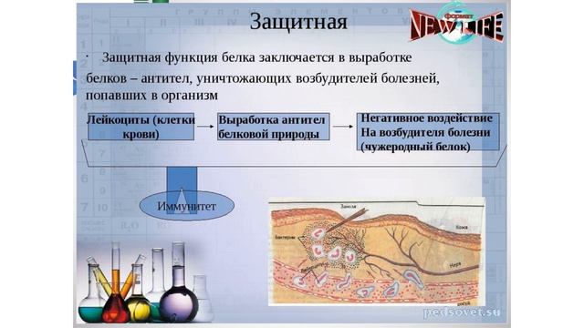 ПРОДУКТОВЫЙ БАТЛ. Иммунитет. Велнесс. АННА СЕРЕНКО смотреть онлайн