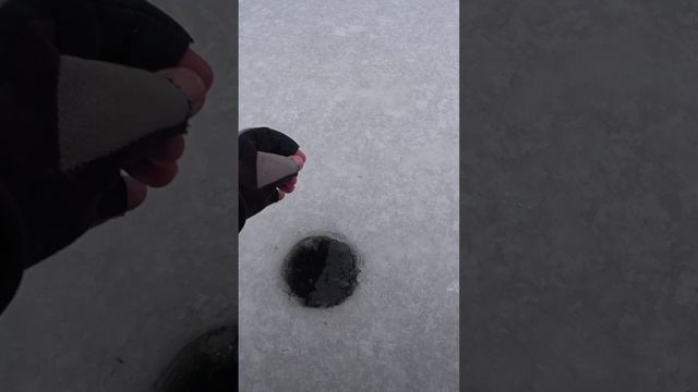 ПОДЛЕЩ НА ЧЁРТИКА смотреть онлайн