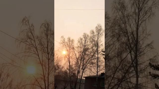 Раннее майское утро рассвет#рассветы #красота#утровгороде#музыкадлядуши#музыкатоп#лучшиепесни смотреть онлайн