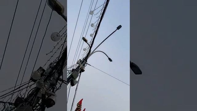 Поклонимся великим тем годам..темсамым командирам и бойцам#деньпобеды#победныймай#песнипобеды смотреть онлайн