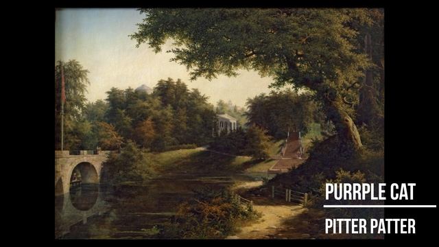 Purrple Cat - Pitter Patter