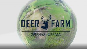 Первая оленья ферма Ставропольского края Deer Farm