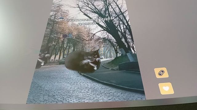 Мем из тик тока Tik Toka смотреть онлайн