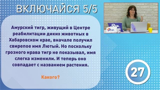 Семейный телеквиз 11.06.2020 смотреть онлайн