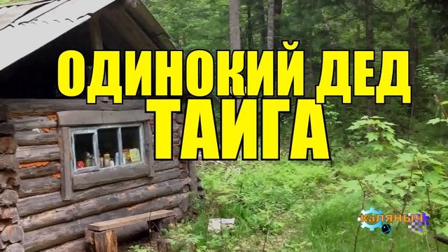 0536 - ОТШЕЛЬНИКИ В ДЕРЕВНЕ _ ОДИНОКИЕ СТАРИКИ _ ПОМОГ ДЕДУШКАМ ПЕНСИОНЕРАМ _ СУДЬБА ЧЕЛОВЕКА смотреть онлайн