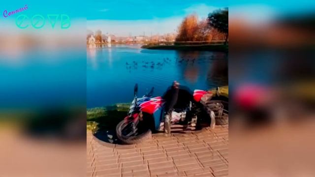 СОННЫЙ #8 | coub best | mega cube лучшее | лучшие приколы апрель 2019 | видео до слез | ржака смотреть онлайн