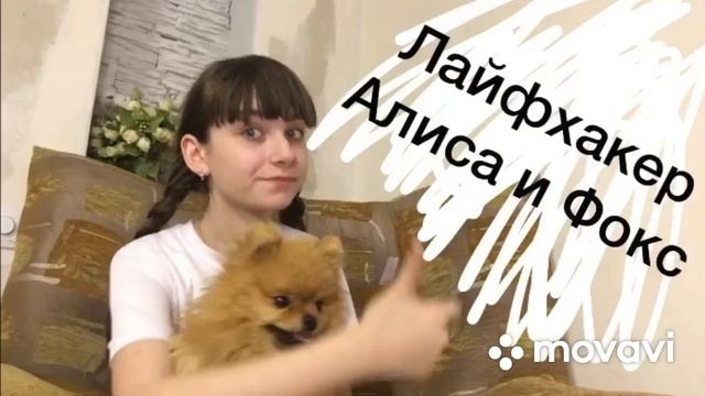 лайфхаки для собак и их владельцев/видео Alisa_ Focs смотреть онлайн
