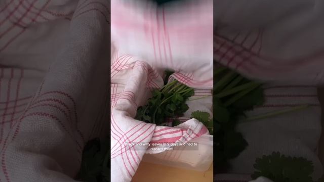 stop throwing away wilted herbs смотреть онлайн