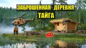 БАБА МАША и МЕДВЕДЬ КЛЮКВА ЖИЗНЬ в ТАЙГЕ ХАТА СКРАЮ ЖИЗНЬ в ДЕРЕВНЕ ДОМ в ЛЕСУ ИСТОРИИ из ЖИЗНИ