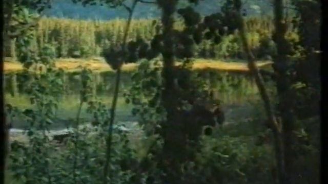 Mustang Country Theme смотреть онлайн