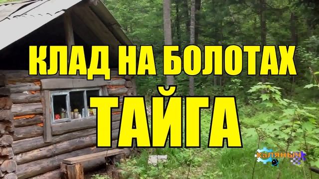 0965 - НАХОДКА _ КЛАД НА БОЛОТАХ _ ТАЙГА