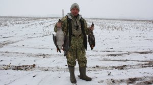 Охота на гусей в Липецкой области. Весна 2017.