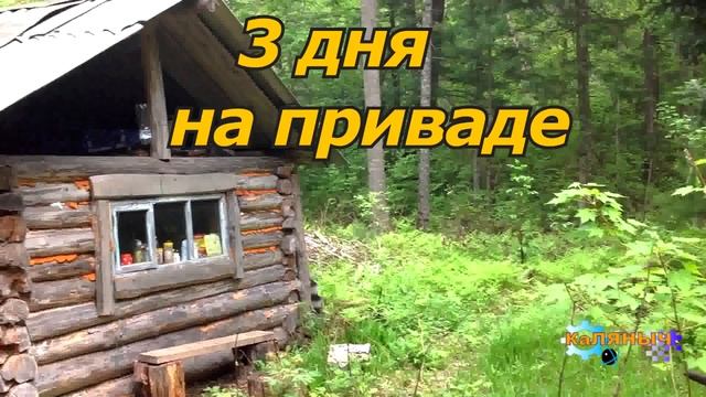 1179 - 3 дня на приваде смотреть онлайн