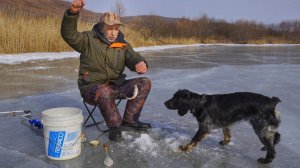 Зимний Гольян. Рыбалка на реках Приморского края. Зимняя подлёдная рыбалка в Приморье.