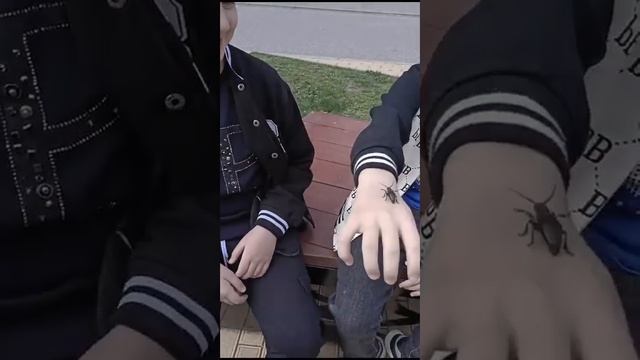 сезон майских жуков смотреть онлайн