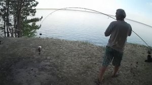 Обь, рыбалочка на сазнов, 2023