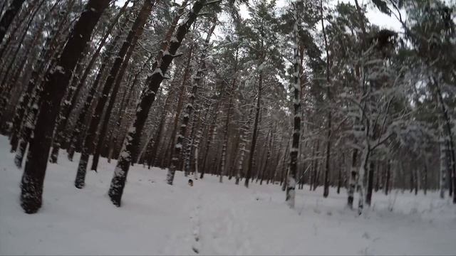 Ghost Tacana 3 Первый снег Покатушки .Перший сніг. Покатушки на Велосипеді) смотреть онлайн