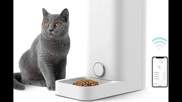 5 Useful things for Pets lovers- Cats/Dogs смотреть онлайн