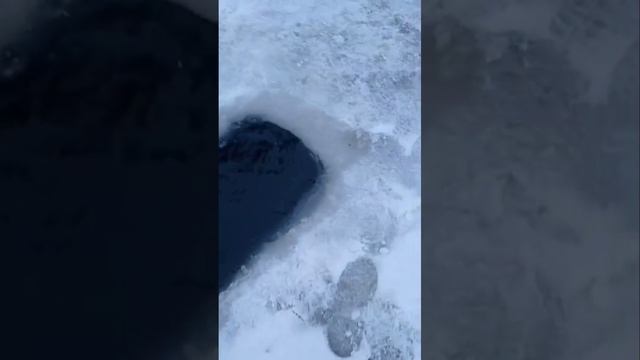 произвели запуск на путевки смотреть онлайн