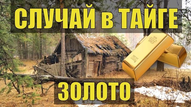 СЛУЧАЙ в ТАЙГЕ ВЫЖИТЬ ПРОМЫСЕЛ РУЧНАЯ ДОБЫЧА ЗОЛОТА ИЗБУШКА ОХОТНИКА ОДИН НАХОДКА ЖИЗНЬ В ЛЕС смотреть онлайн