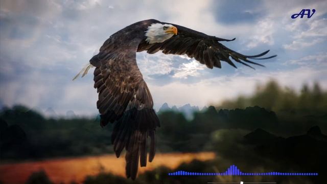 Copyright Free Epic Native American Flute Background Music: "Flying Eagle" by Frank Schröter смотреть онлайн