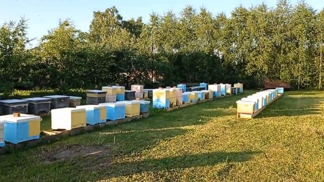 Наши новости (20.06.2021) смотреть онлайн