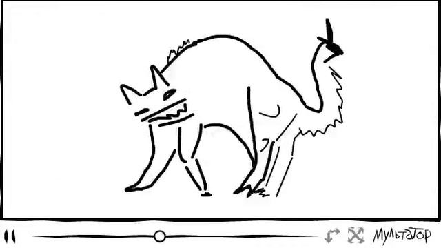 Тайная жизнь кота