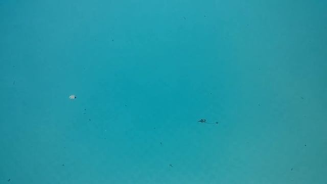 Green pool cleaning смотреть онлайн