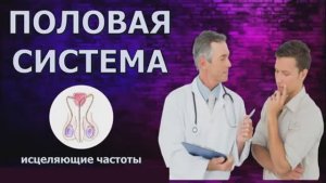 Исцеление Мужской Половой Системы от Инфекций*Лечебные Частоты и Звуковая Терапия Простаты