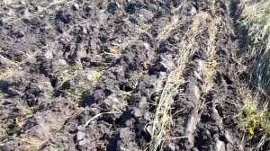 Плуг, жëстко крепить или нет?