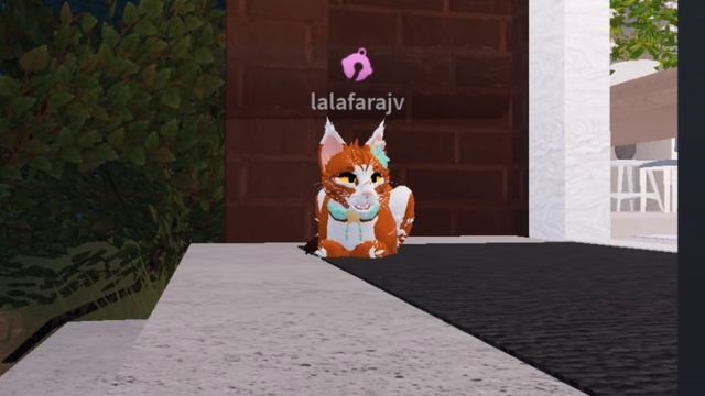 Все бейджи в Wcue!