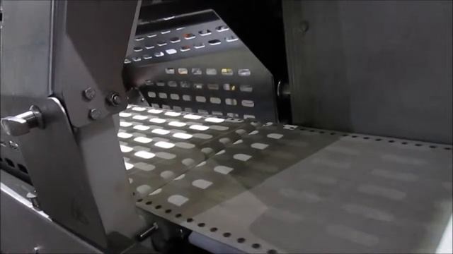Marel IPM3 X400 Fish portion cutter смотреть онлайн
