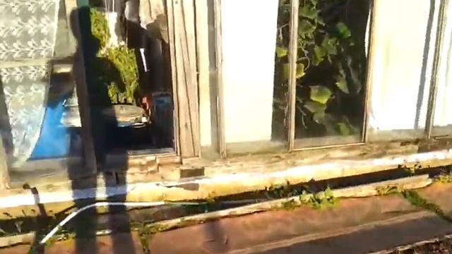 video-2011-08-12-19-04-47.mp4 смотреть онлайн