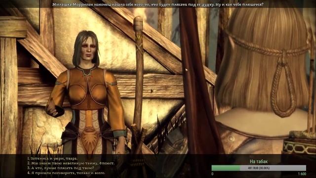 Как приручить драконий век. День XII часть 2. Не бей мамку / DRAGON AGE ORIGINS смотреть онлайн