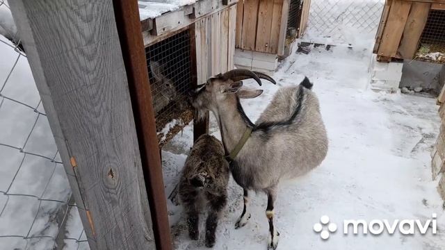 В хозяйстве всё взаимосвязано. смотреть онлайн