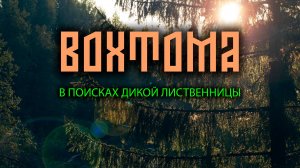 Вохтома. В поисках дикой лиственницы. Часть 2