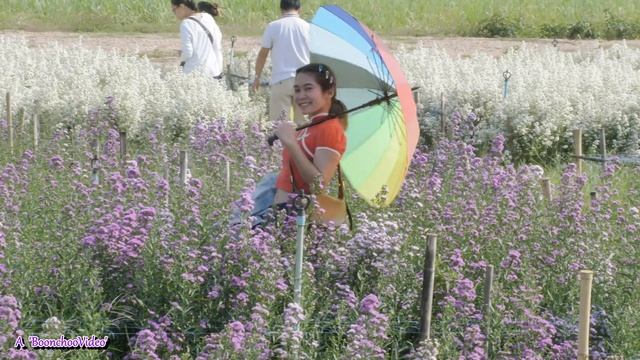 Udon Thani, Thailand - Flower Cafe смотреть онлайн