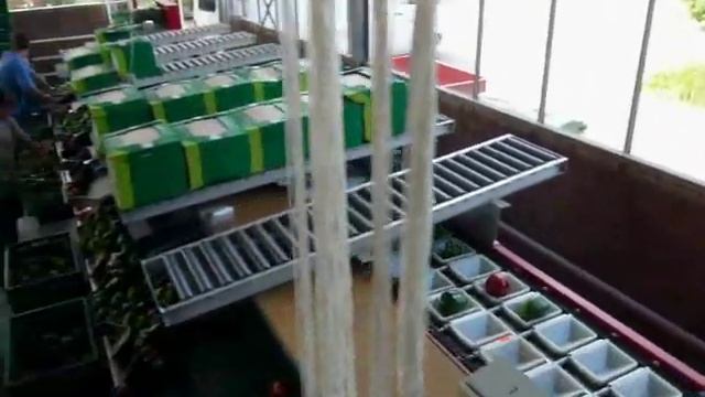 Paprika sorteermachines, Aweta G 2 8 смотреть онлайн