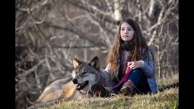 Волки мы в ночных лесах (Минус) смотреть онлайн