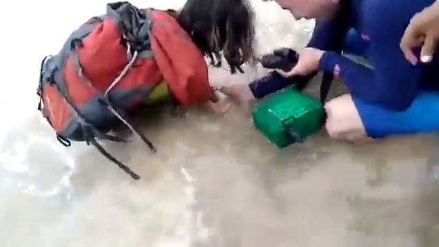 Туристку укусила акула shark смотреть онлайн