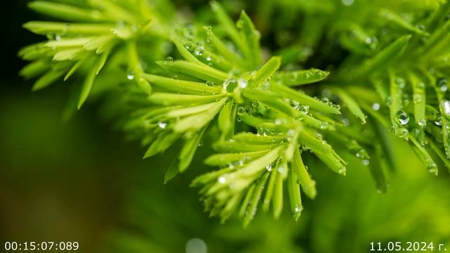 913 Вычисление 11.05.2024 г смотреть онлайн