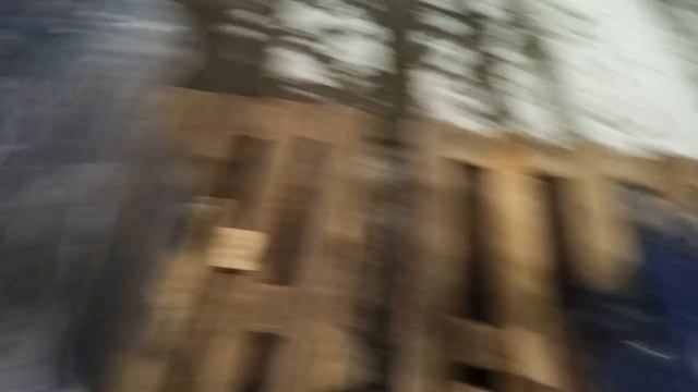 Отправка 2-х грузов ТК "Деловые Линии" от 27.12.2024 смотреть онлайн