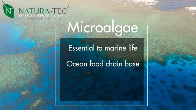 2023 - Oceans Day смотреть онлайн