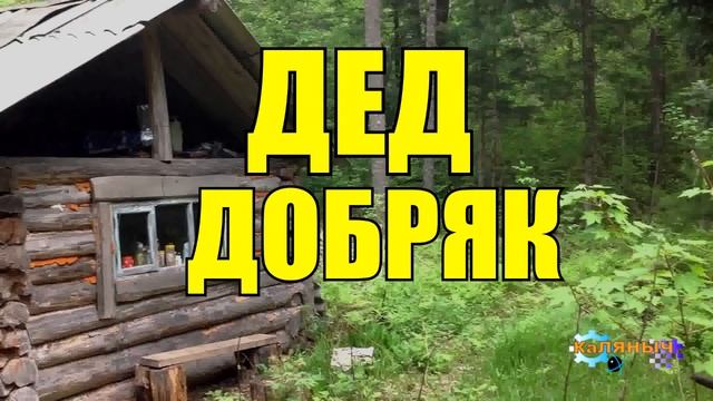 ДЕД _ ОХОТНИК В ЛЕСУ _ ЗИМОЙ смотреть онлайн