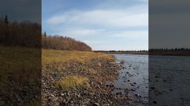 Природный Монтаж Natural Montage смотреть онлайн