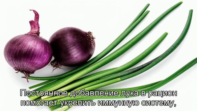 Лук: суперфуд или просто полезный овощ? смотреть онлайн