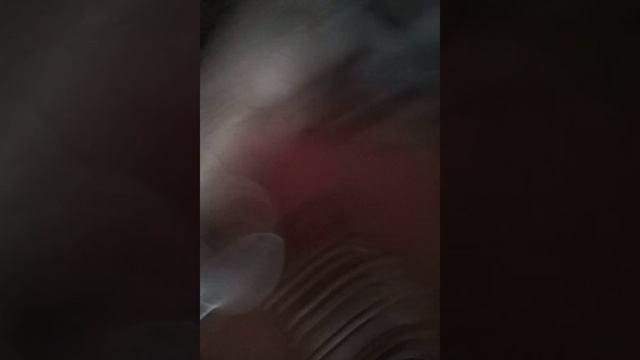 Нупспкие и про спинар смотреть онлайн