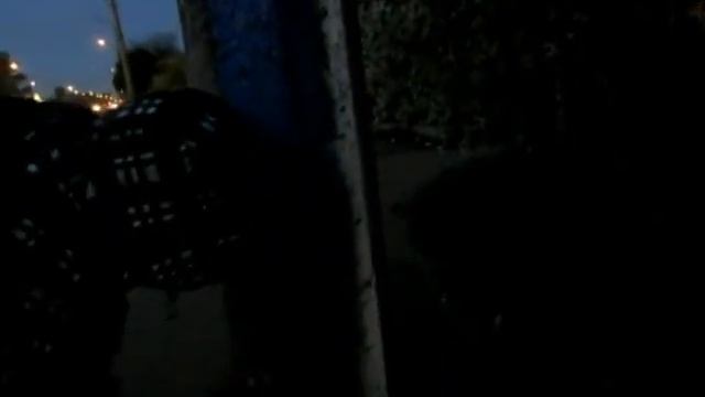 Молодежь упраздняет флаги России. Луганск смотреть онлайн