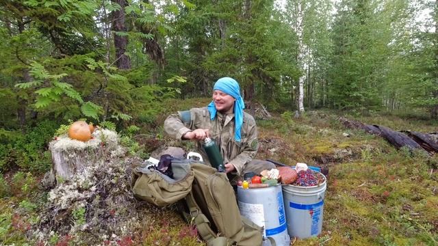 10 000 рублей за 10 часов в лесу. РЕКОРДНЫЙ СБОР ЯГОД. КАК ЗАРАБОТАТЬ ДЕНЬГИ В ЛЕСУ. ОБАЛДЕЛ В ЛЕСУ. смотреть онлайн