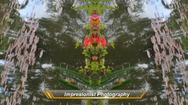 Monet's Garden смотреть онлайн